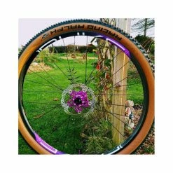 Roues Complètes -TRANSMISSIONS BIKELIFE Soldes 2023 paire de roues duke purple 29 carbone 5