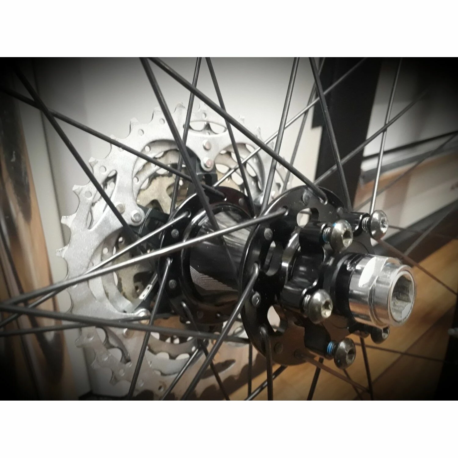 Dt-swiss Roues Complètes Dt Swiss - 29'' 3 Dt-swiss Roues Complètes Dt Swiss - 29'' – Image 3