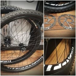 Dt-swiss Roues Complètes Dt Swiss - 29''